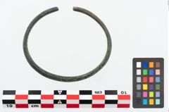 Foto von Bronzearmreif (NHMW-PRAE-025889)